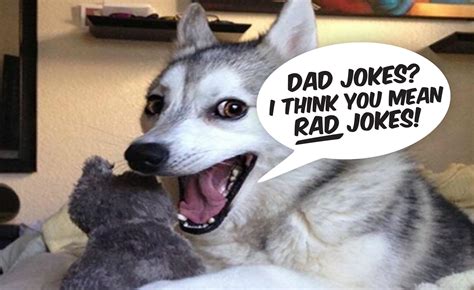 dad jokes video|dad jokes actually funny.